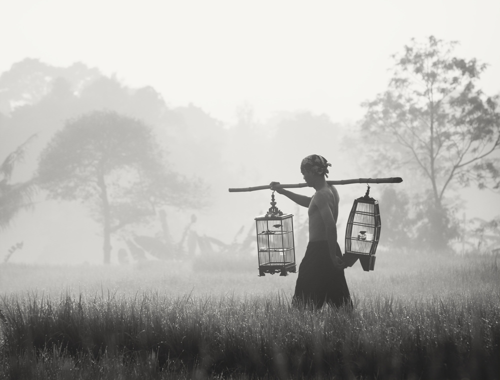 Sindangbarangs Misty Morning von Arief Putranto