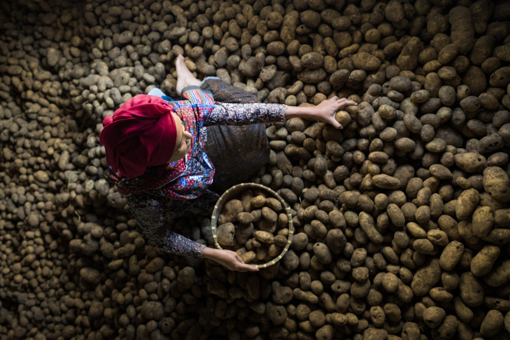 Tengger potatoes von Arief Siswandhono