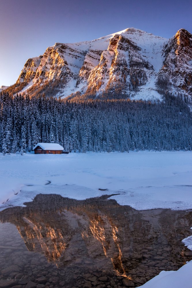 Light of Lake Louise von Ariel Ling