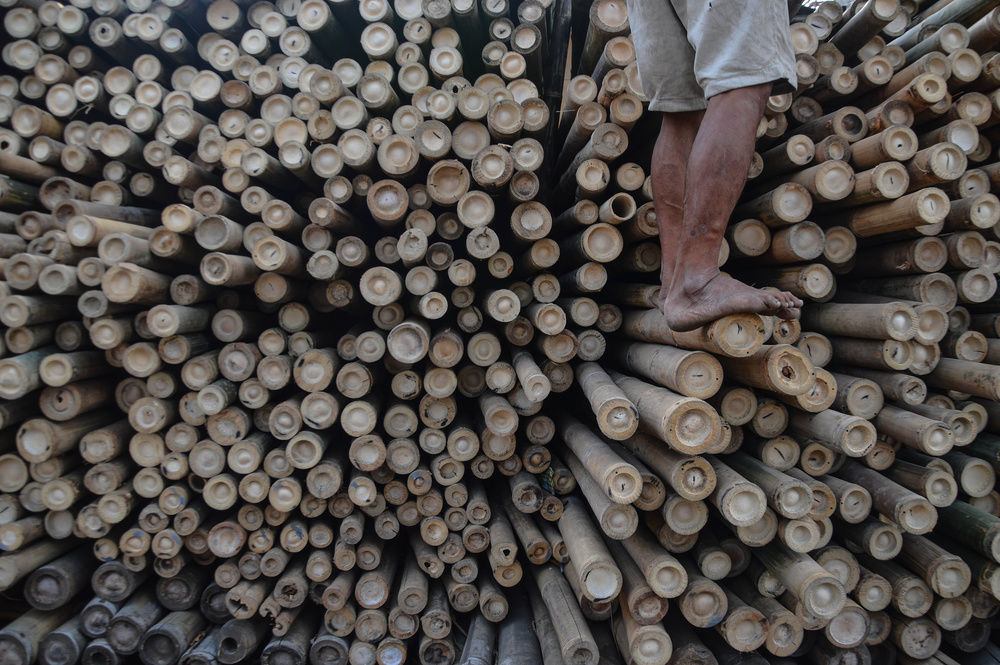 Bamboo von Arif Hari