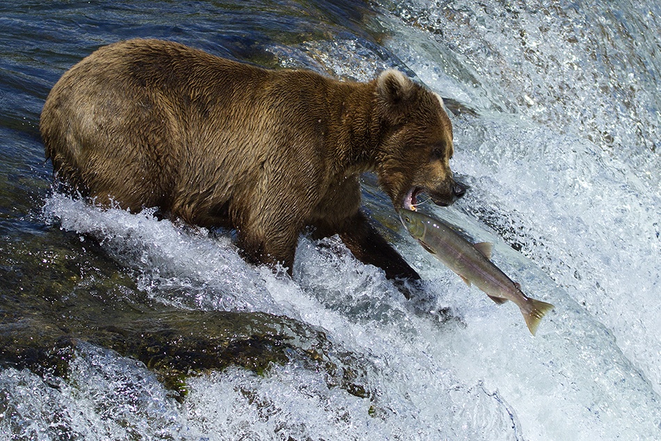 against the stream von Arik Kaneh