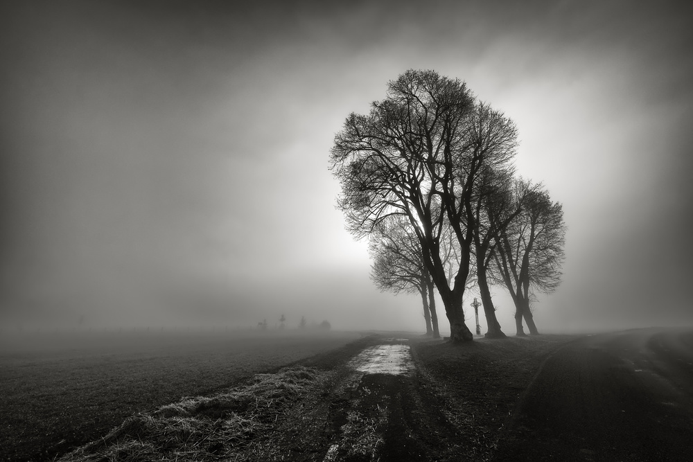 Fog von Arnaud Maupetit