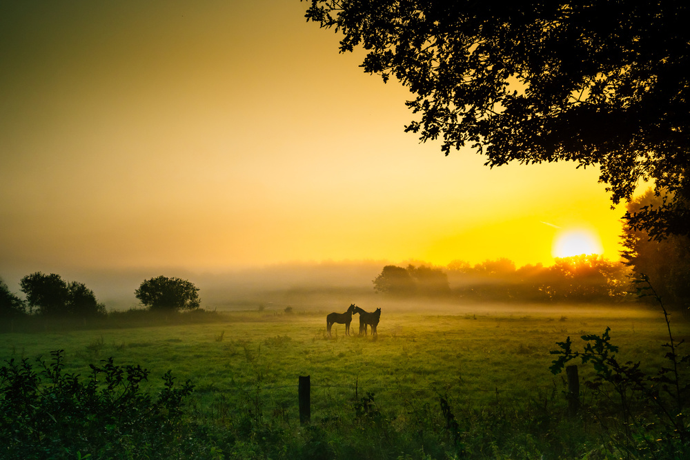 Romantik in der Morgenstunde. von Arne Jansen