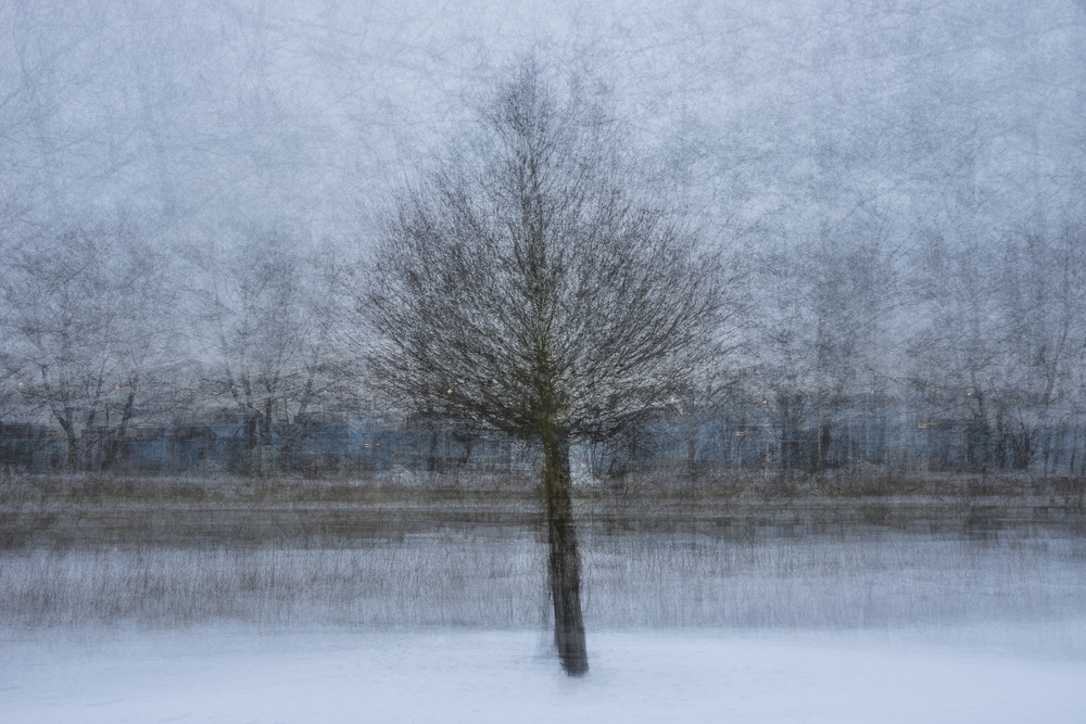 At the Shore of the Frozen River von Arne Östlund