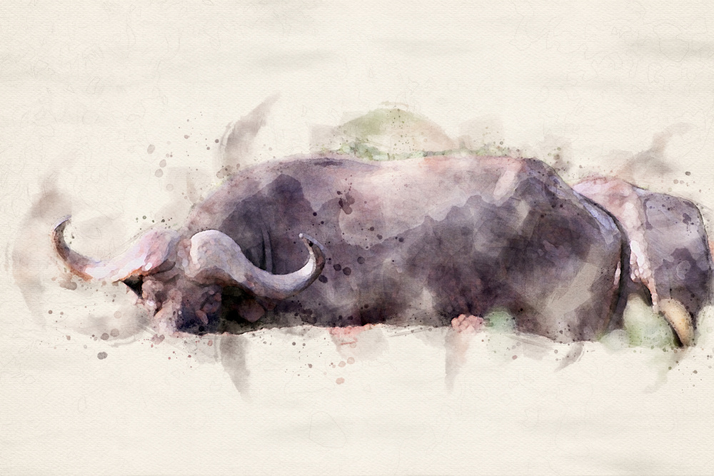 Abstract African Buffalo Watercolor Art von Arno Du Toit