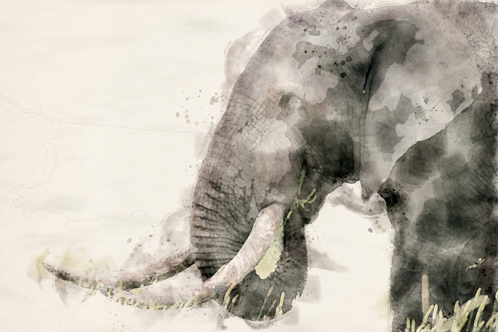 Abstract African Elephant Watercolor Art von Arno Du Toit