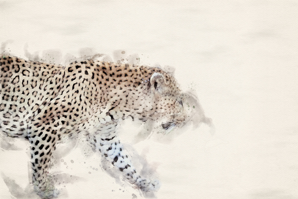 Abstract African Leopard Watercolor Art von Arno Du Toit