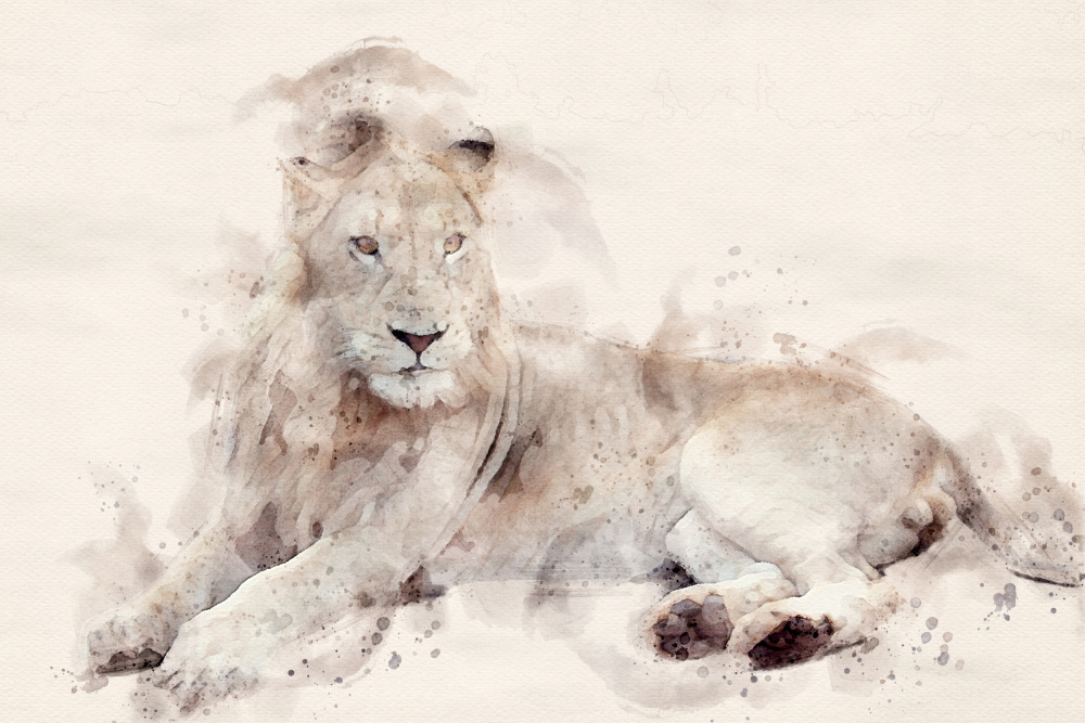 Abstract African Lion Watercolor Art von Arno Du Toit