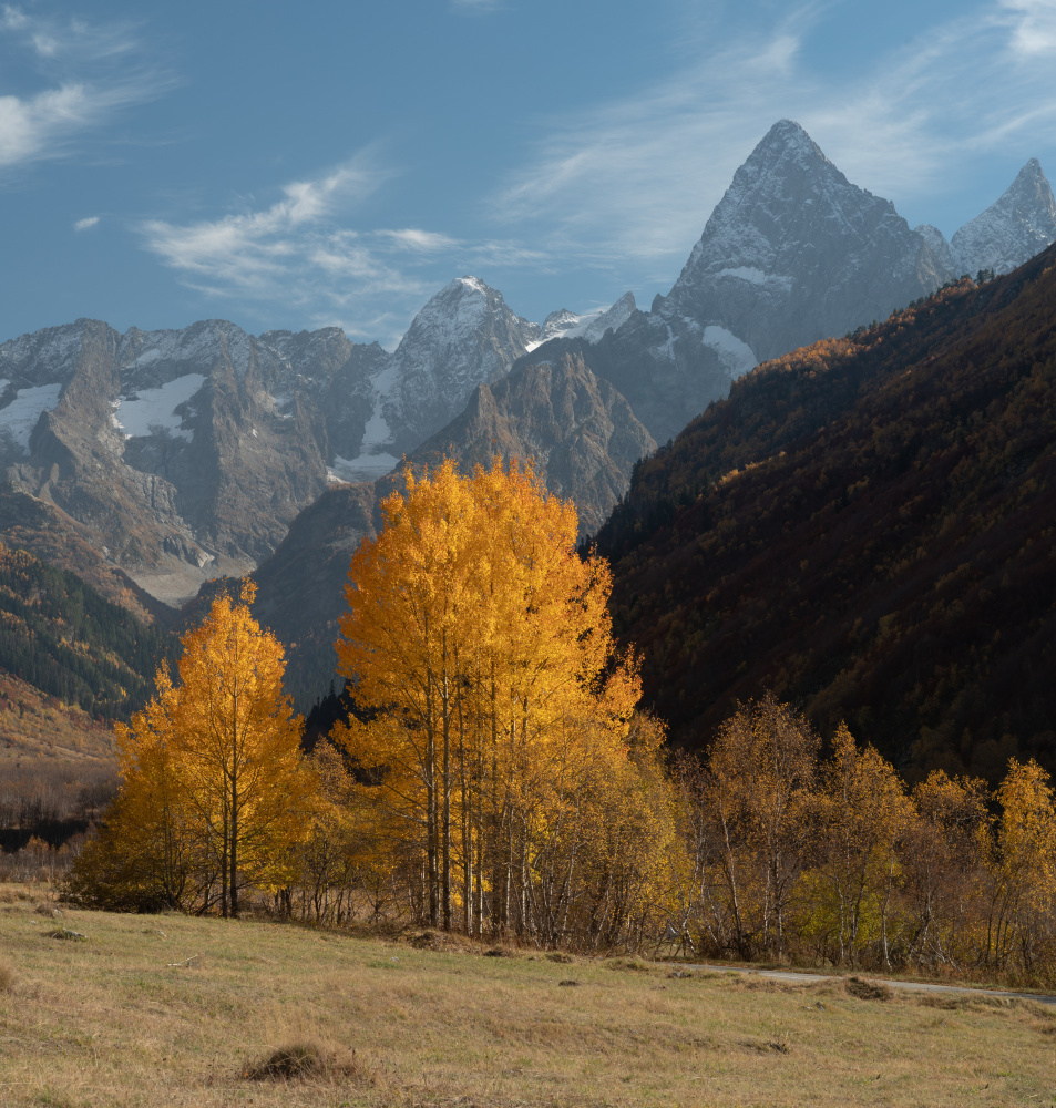 CAUCASIAN AUTUMN von Arsen Alaberdov