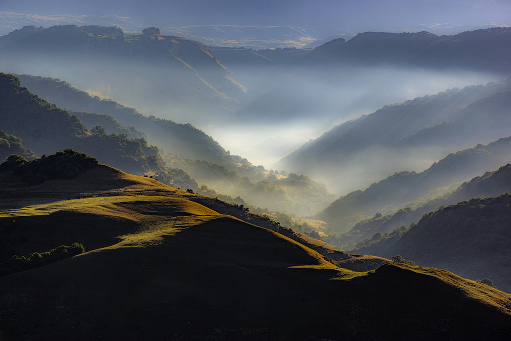 MISTY MORNING von Arsen Alaberdov