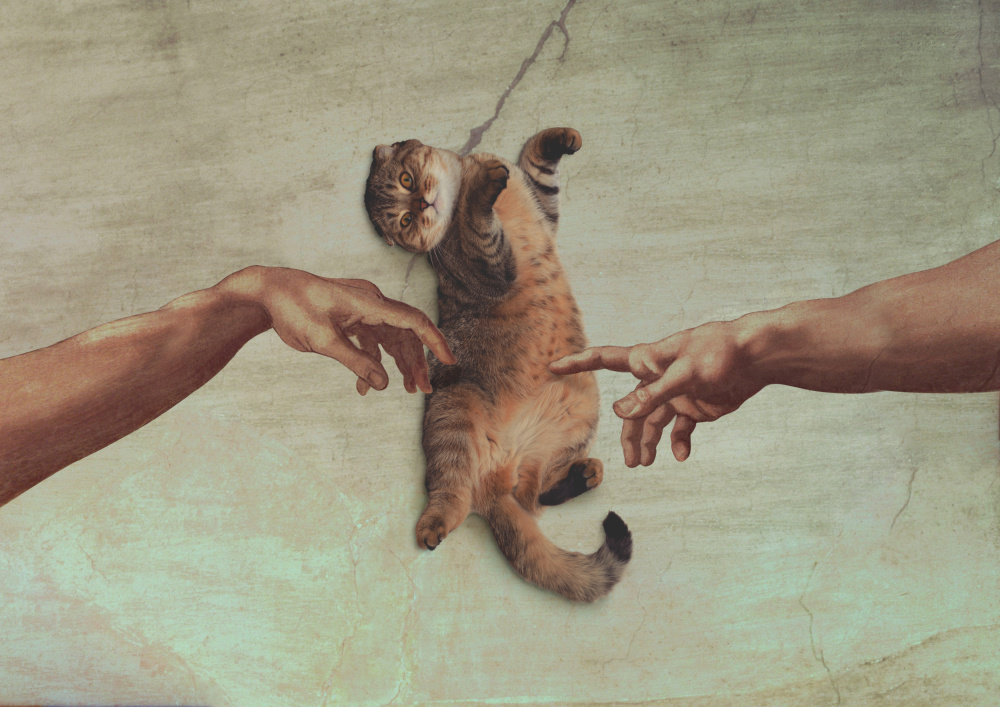 Touch of the Kitty von Artem Pozdniakov