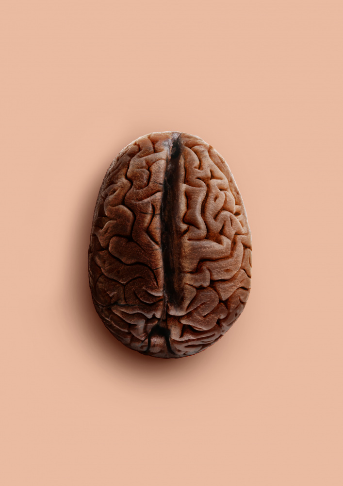 Brain Bean von Artem Pozdniakov