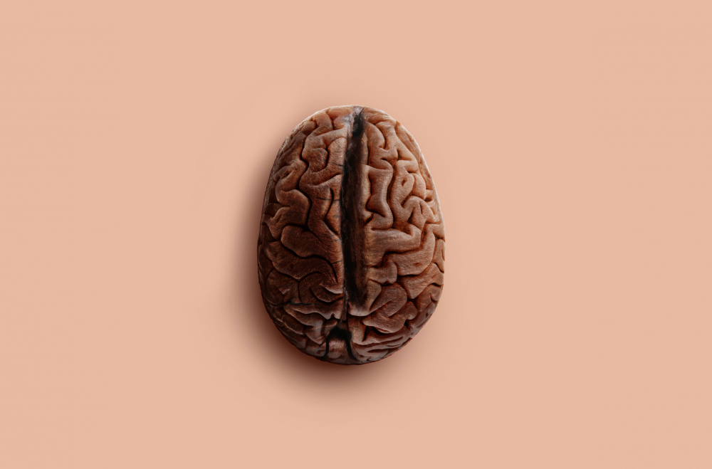 Brain Bean von Artem Pozdniakov