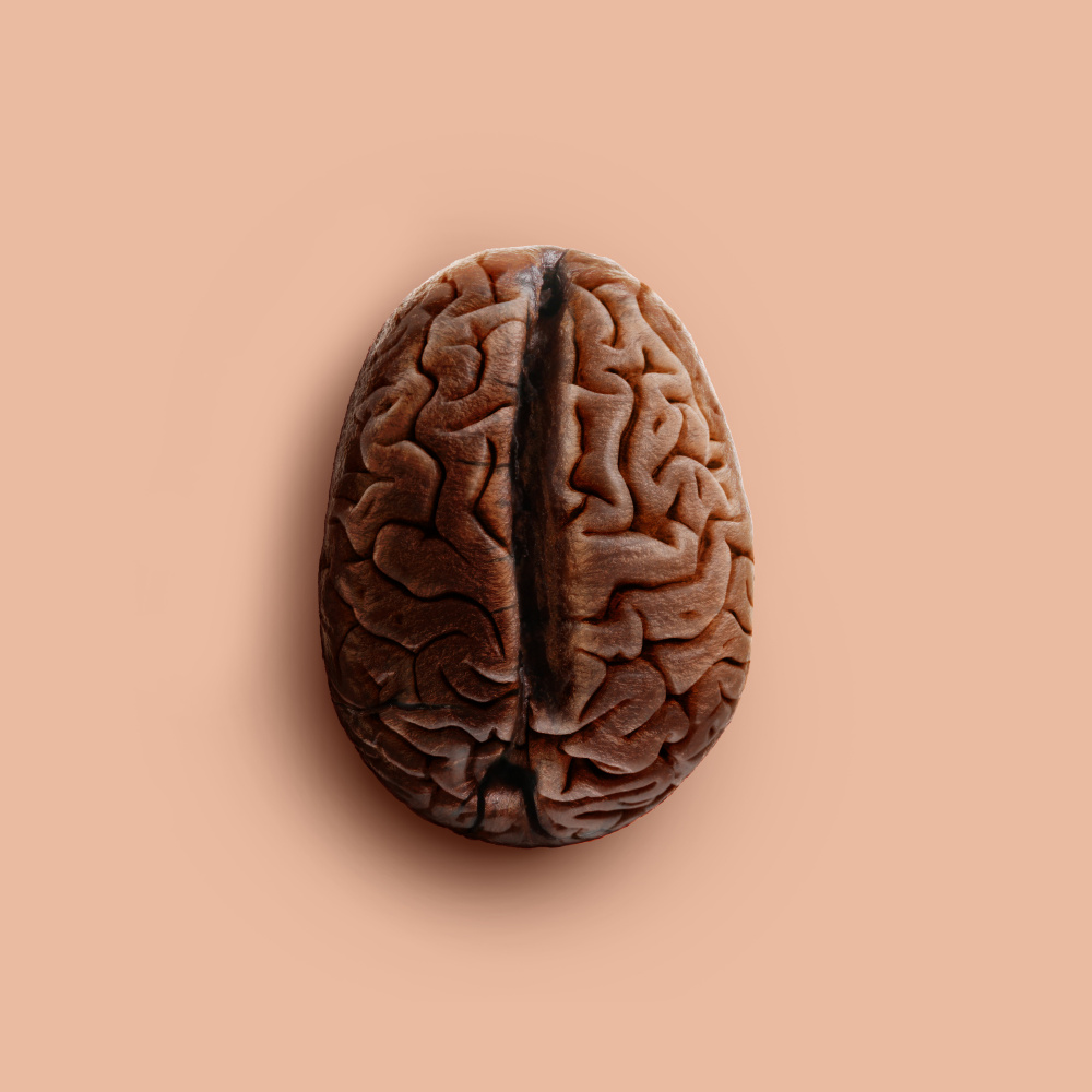 Brain Bean von Artem Pozdniakov