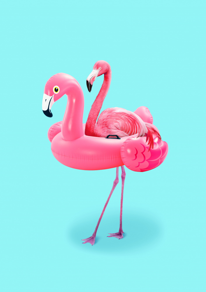 Flamingo on Resort von Artem Pozdniakov