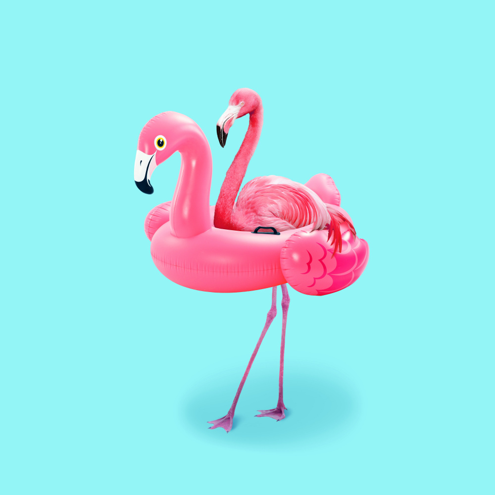 Flamingo on Resort von Artem Pozdniakov