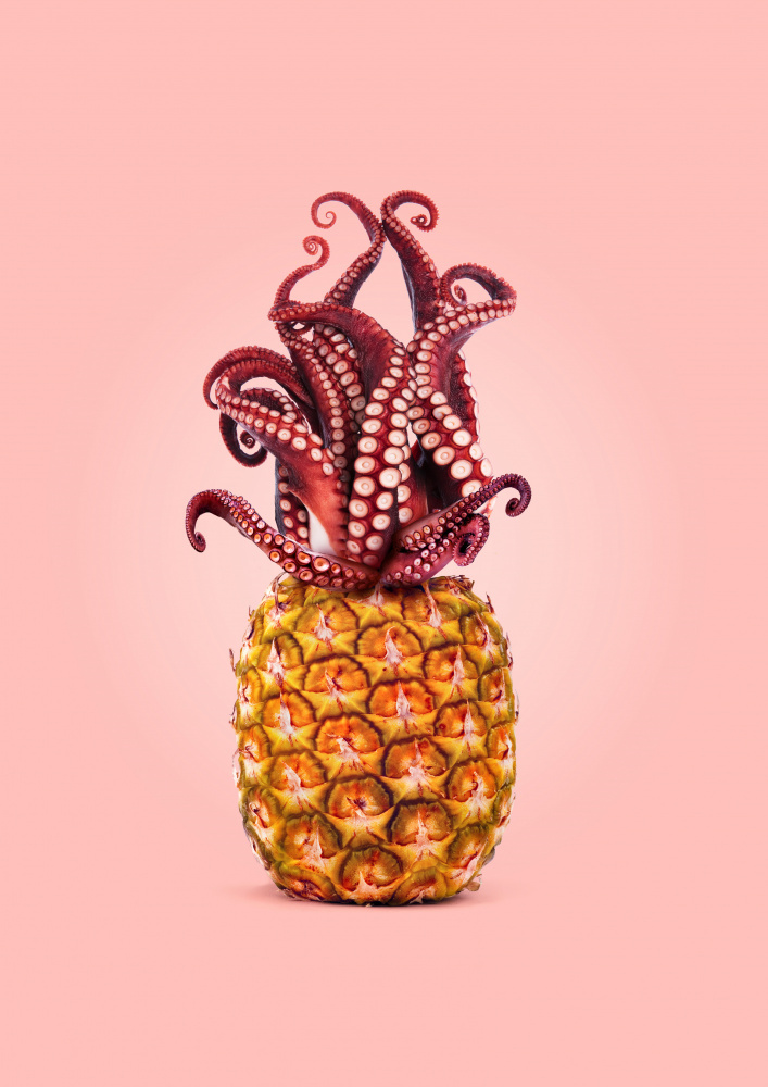 Octopus Pineapple von Artem Pozdniakov