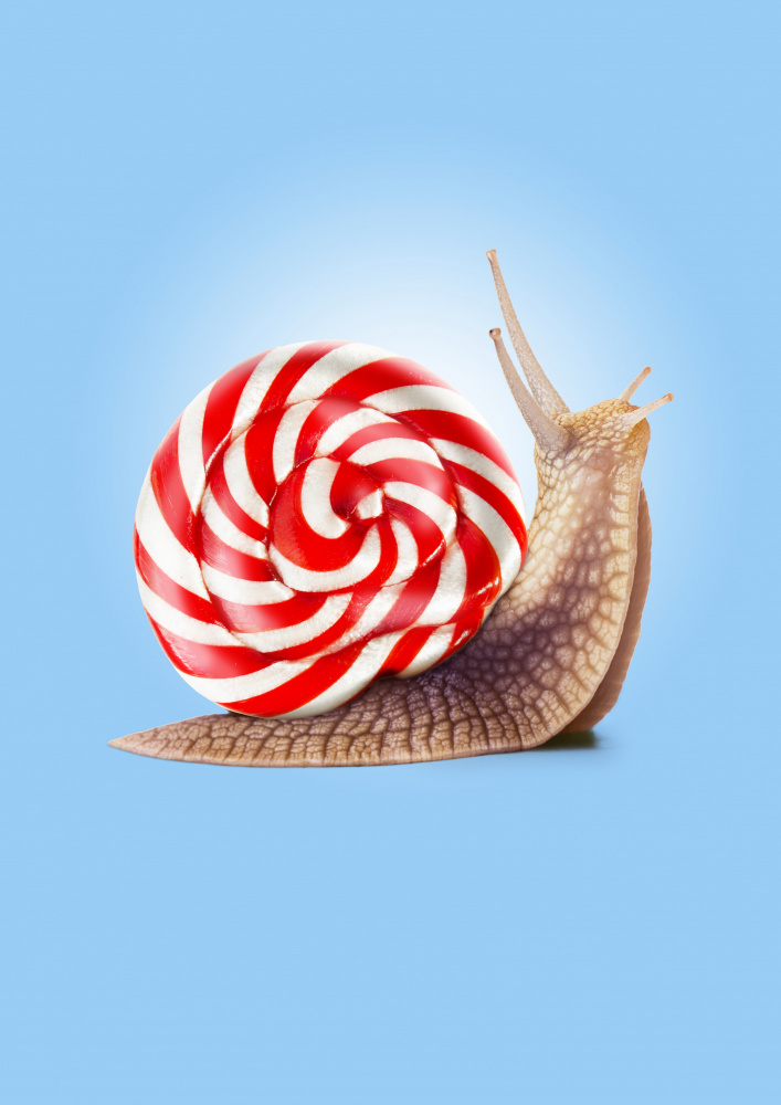 Snail Candy von Artem Pozdniakov