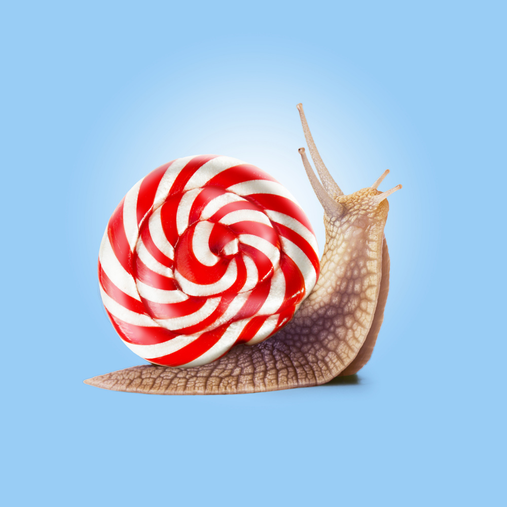 Snail Candy von Artem Pozdniakov