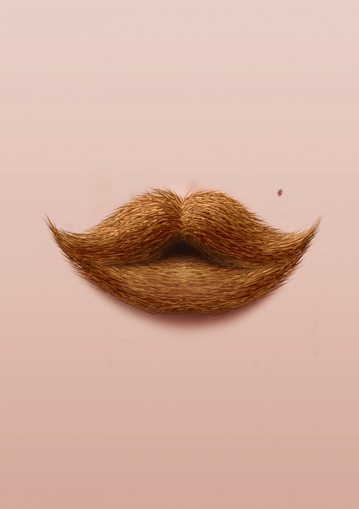 Moustache Kiss von Artem Pozdniakov