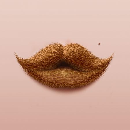 Moustache Kiss