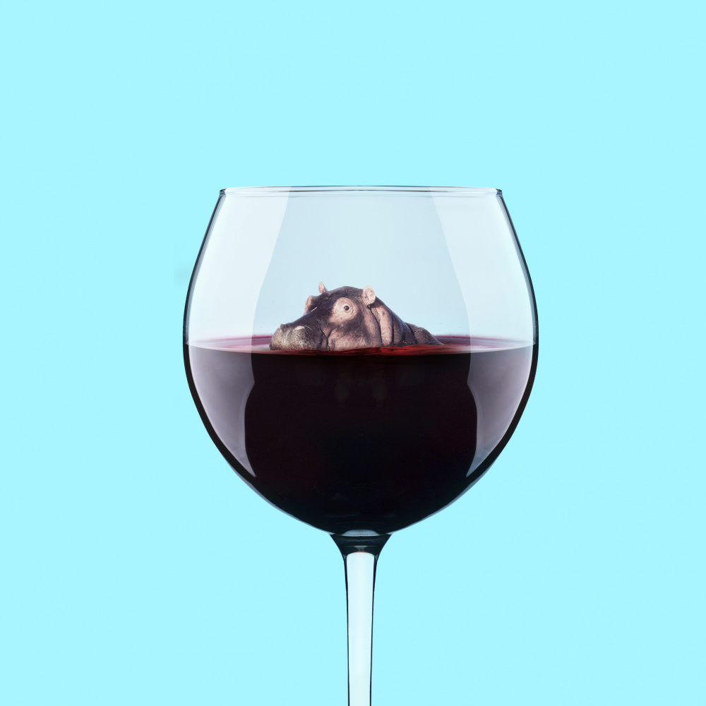 Dive in Wine von Artem Pozdniakov