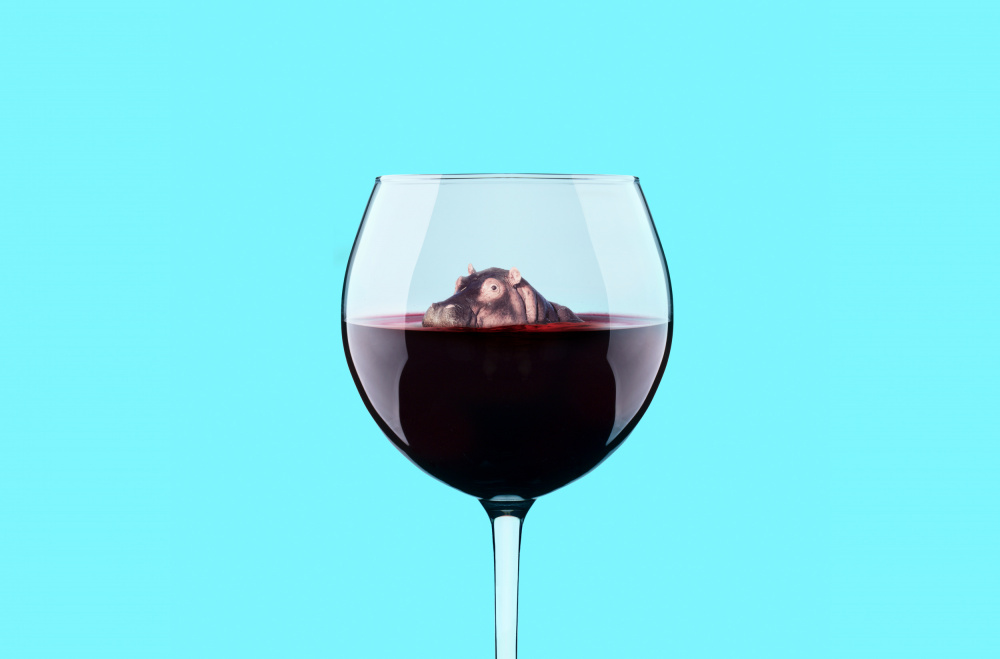 Dive in Wine von Artem Pozdniakov