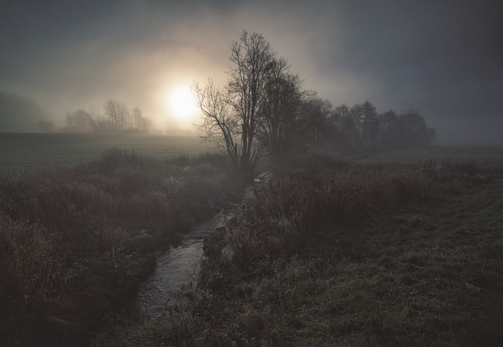 Fogscape - elements von Artur Pardo