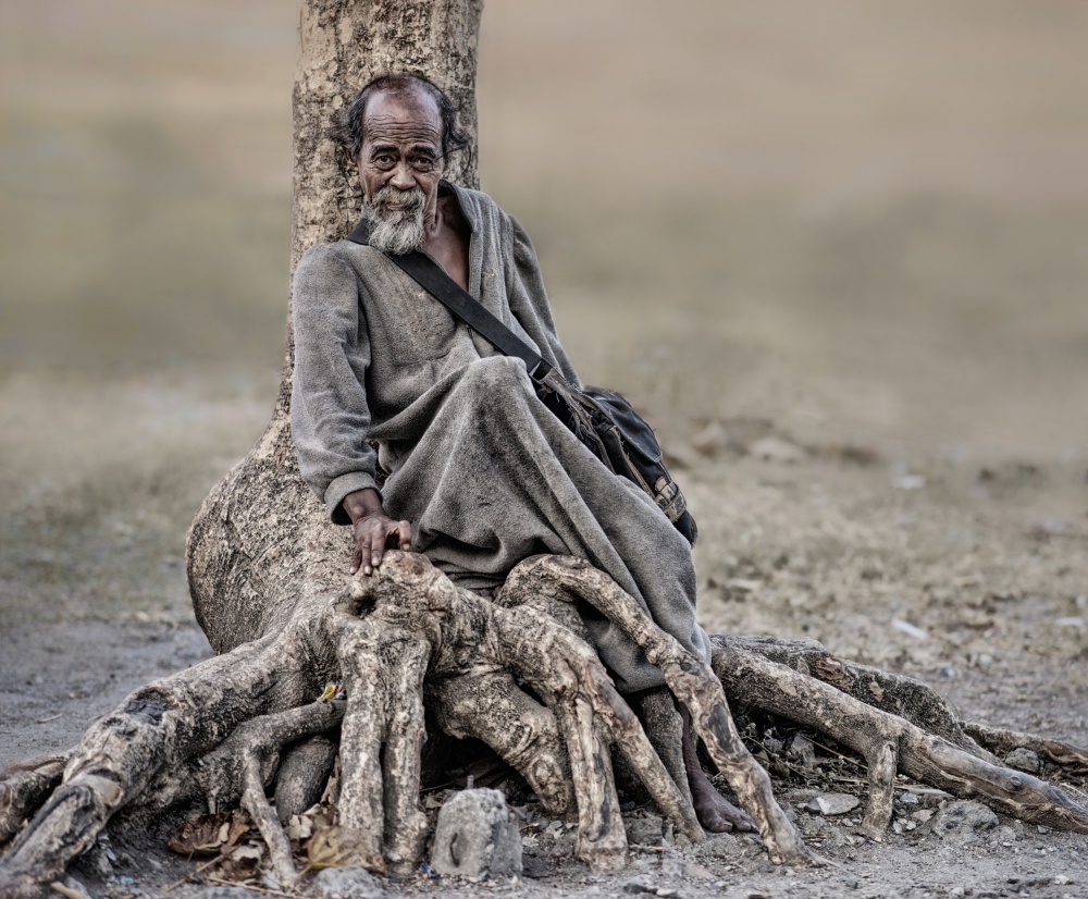 Roots von Artur Pardo