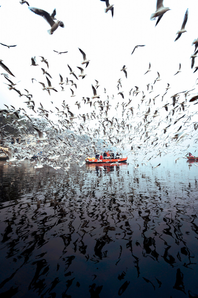 Limitless at Yamuna Ghat von Arun R Hegden