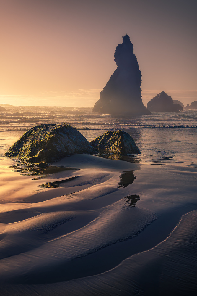 The Wizards Hat and The Howling Dog von Atanu Bandyopadhyay