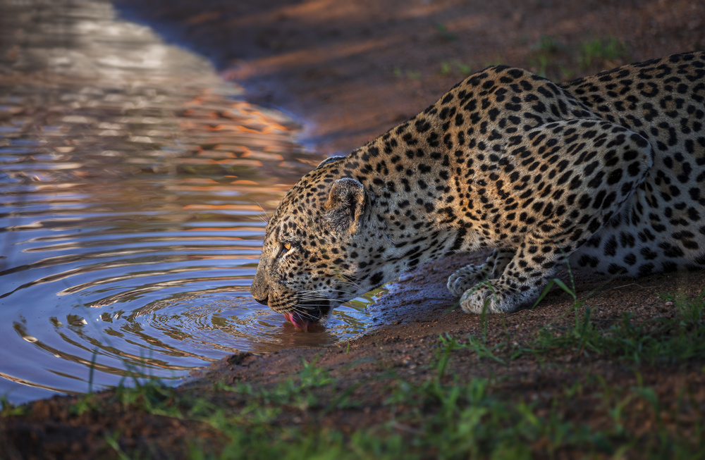 Thirst von atlyphoto