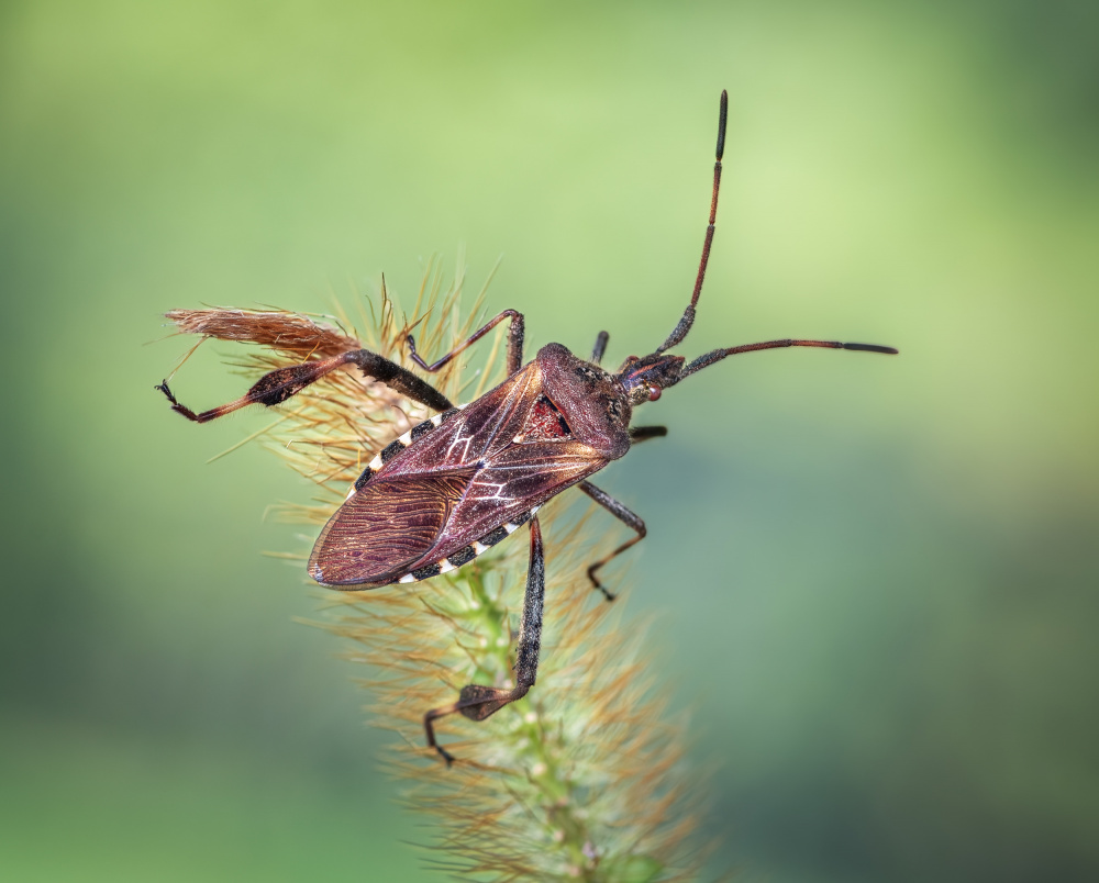 The long wait von Atul Saluja