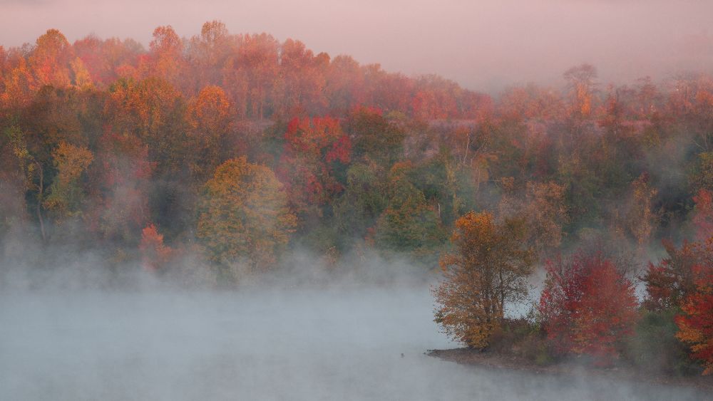 Herbst Eindruck #3 von Austin