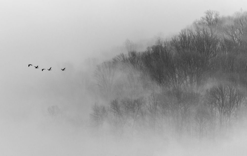 Über Nebel von Austin