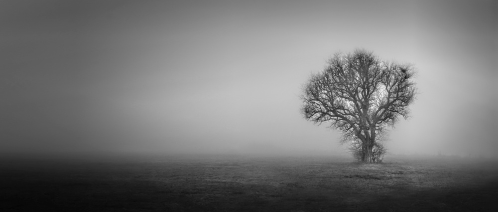 In the fog and in the middle of the fields von av peteghium