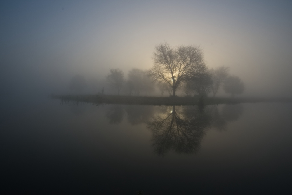 Cold misty morning von Avi Hirschfield