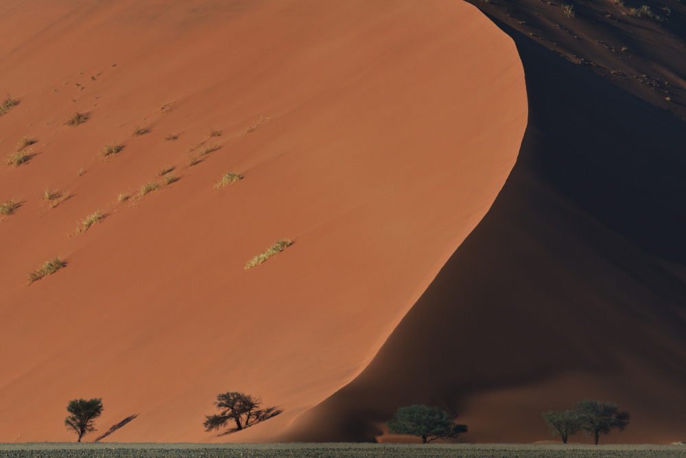 Namibian Dunes von Avi Hirschfield