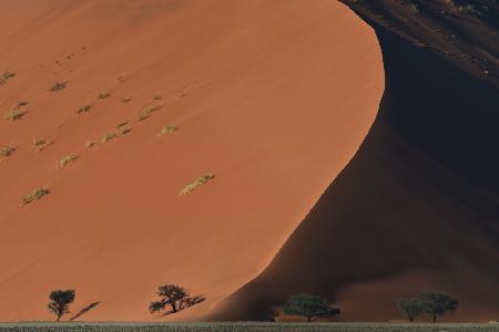 Namibian Dunes