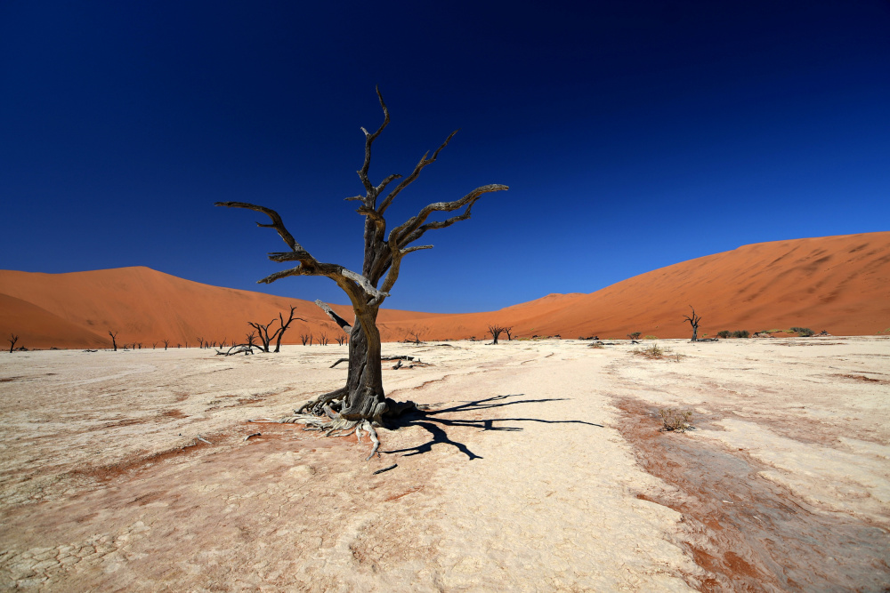 Sossusvlei Namibia von Avi Hirschfield