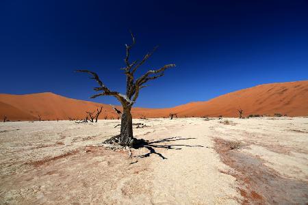 Sossusvlei Namibia