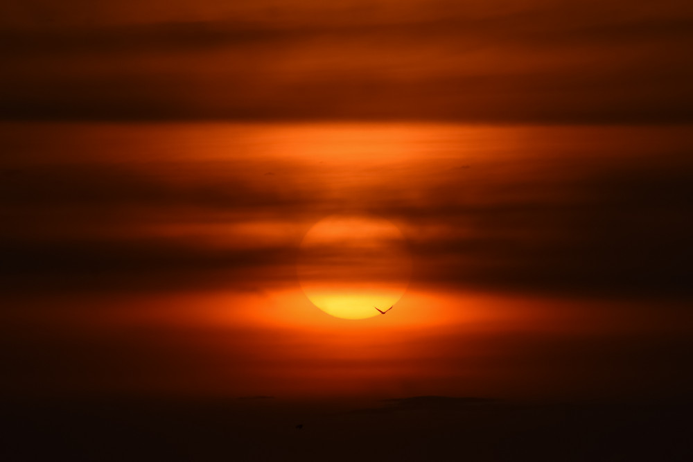 Sunset Hues von Avinash Singh