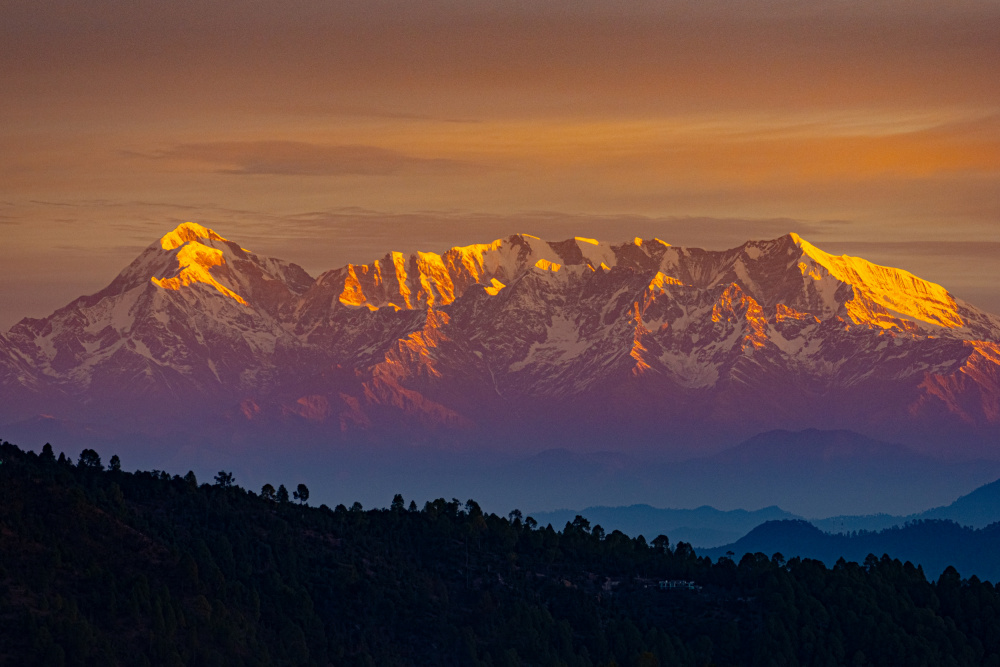 Soar high like the Himalayas von Avinash Singh