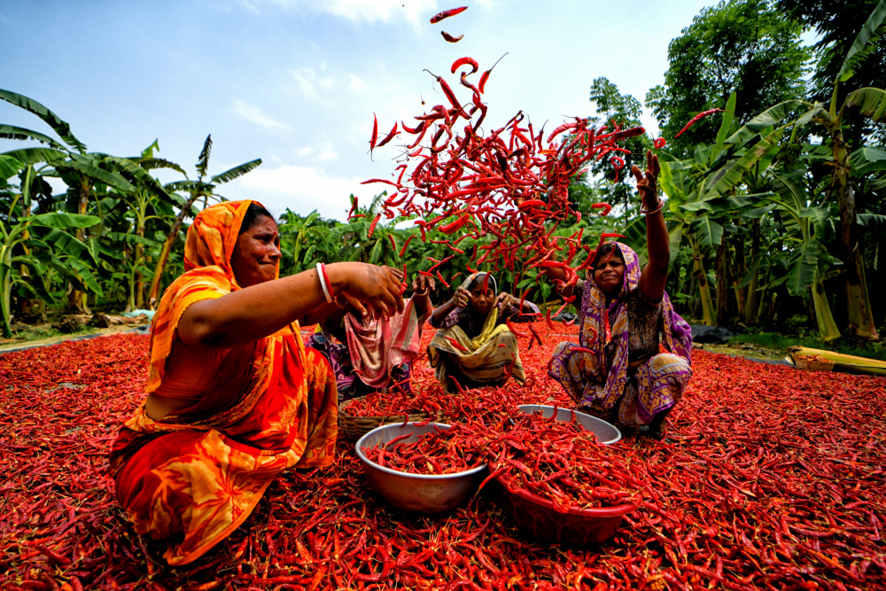 Red Vibes von Avishek Das