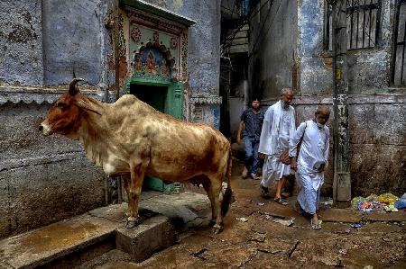 Street of Varanasi