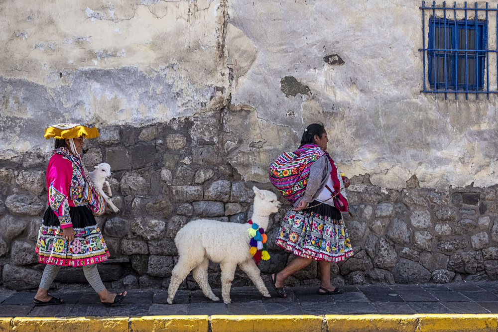 The goat celebration von Avital Hershkovitz