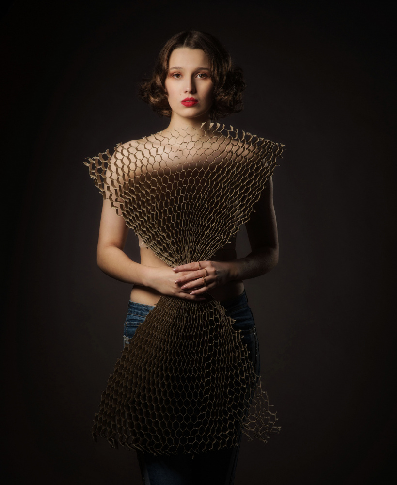 The Cardboard Dress 3 von Axel K. Schoeps