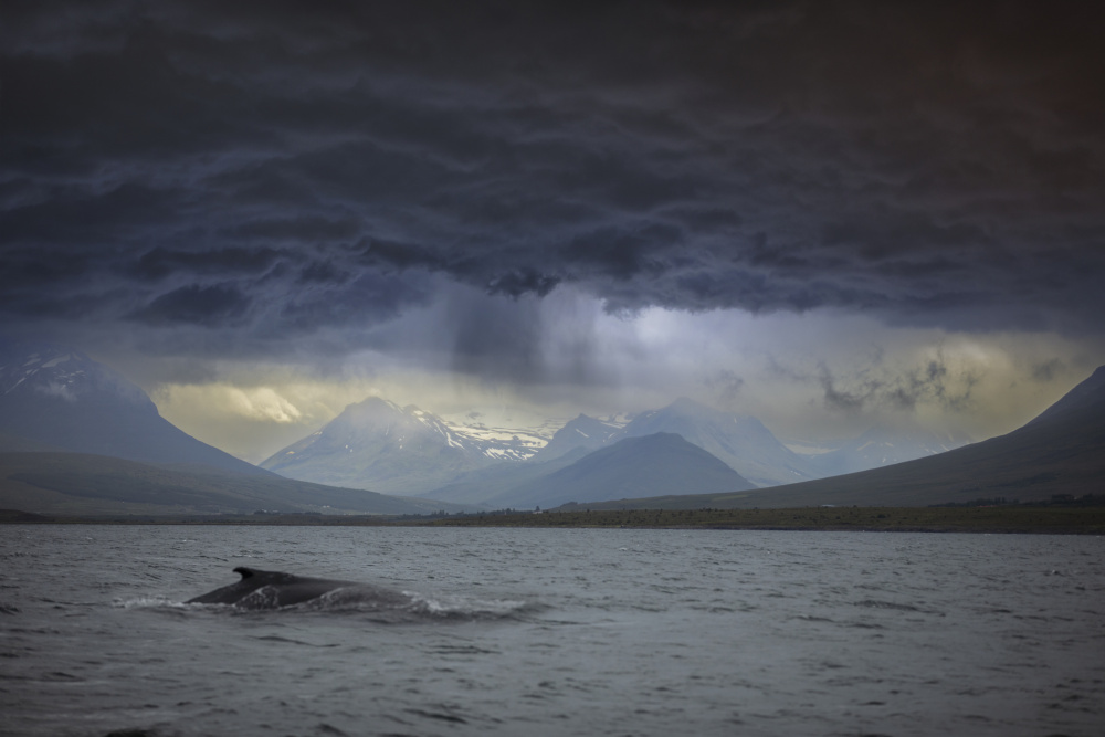 Rough seas von AYMAN KHRBAWE