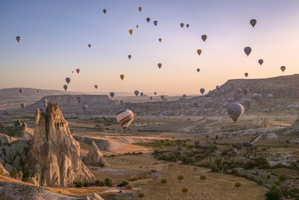 feast in the sky von Ayse Yorgancilar