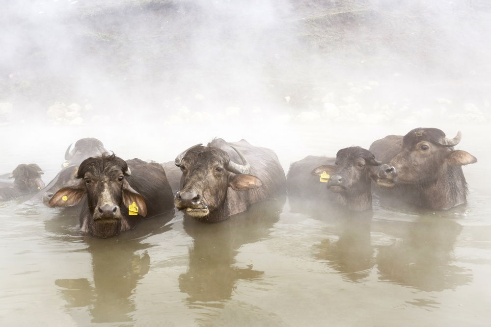 enjoying thermal water in the snow von Ayse Yorgancilar